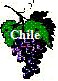 ChileGrapes.jpg (3831 bytes)
